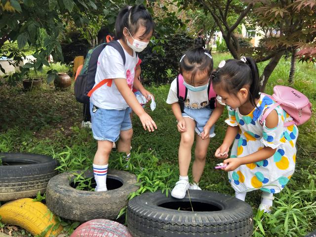 垃圾分类，我们在行动！南京高淳固城幼儿园开展垃圾分类主题活动