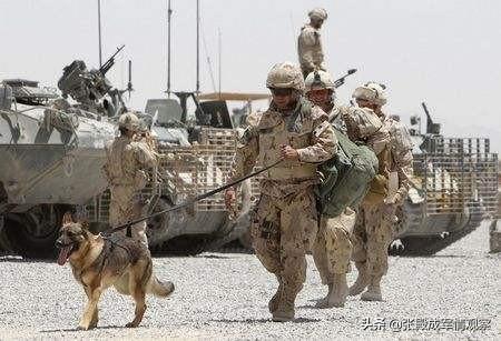 冷血 美军袖手旁观致一家三口惨遭灭门