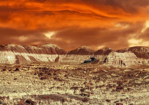 这些年在火星上发现各种奇怪的东西，是存在外星生物的一个信号吗