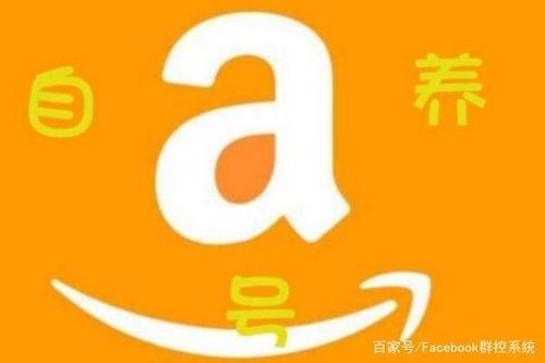 2020刷爆款方法,亚马逊刷多少单安全