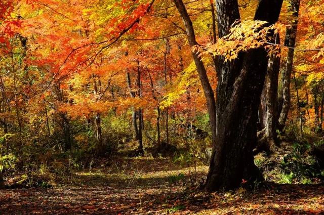 “烧烤”模式即将开启，再不去这个避暑圣地，会后悔一整个夏天