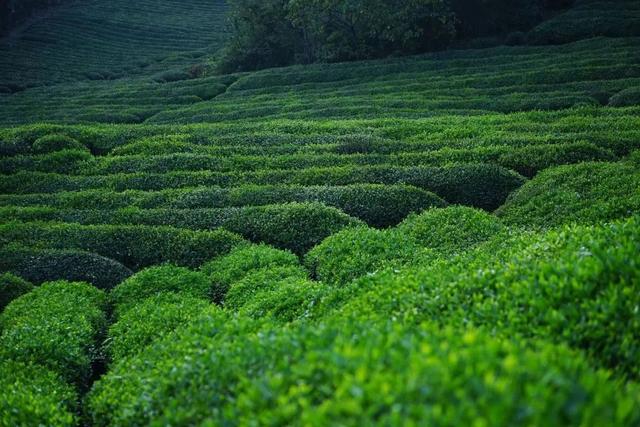 2天嗨够6种玩法，泡温泉、看萤火虫、坐小火车，