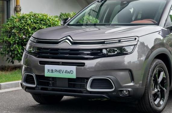 ˭˵ֻз￭϶ ϵ춯˽һ