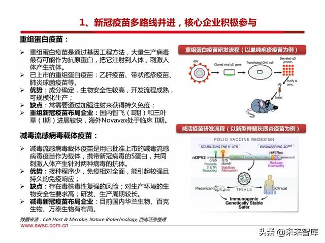 疫苗行业专题报告：新冠疫苗和中和抗体是本次疫情防控的主力