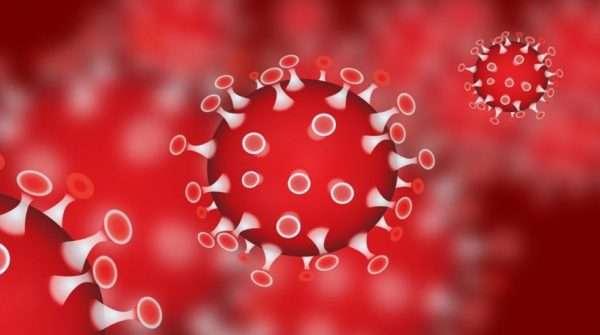 冠状病毒是谁造的?是美国吗?                  还是以