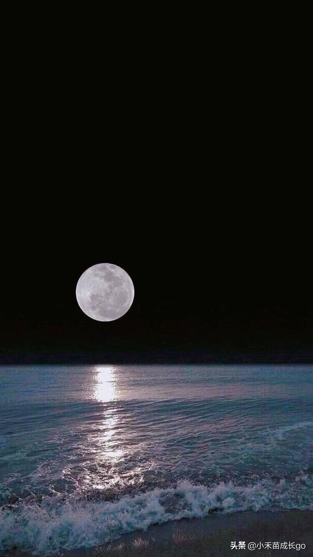 形容中秋佳节的诗句