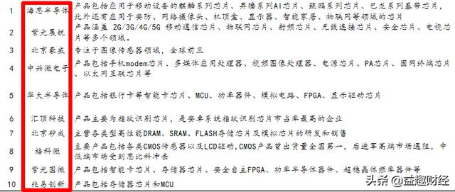 深度研究——半导体之芯片设计，甄选10大龙头企业