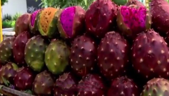 它被称“千果之王”，曾经不值钱，现卖80元一斤，只有少数人吃过