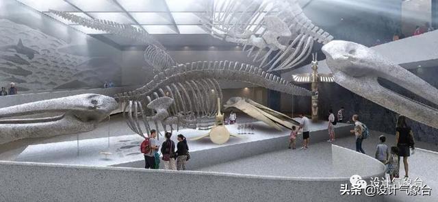 BIG惜败！再牛的方案也比不过一头鲸