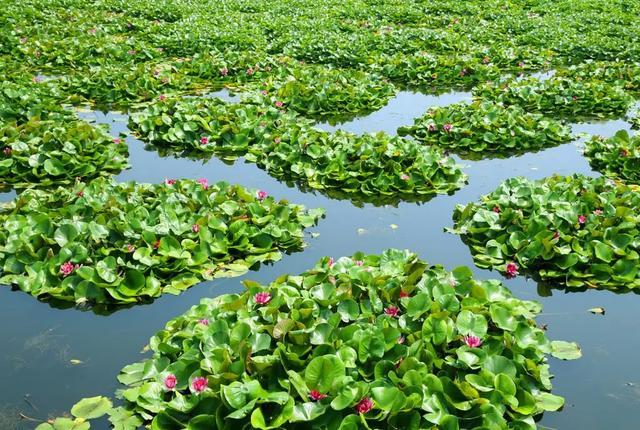 7月6日 渭南文化旅游資訊微報(bào)（組圖）