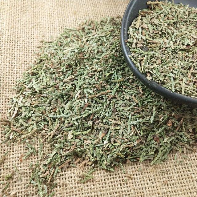 《本草纲目》故事：止血良药侧柏叶