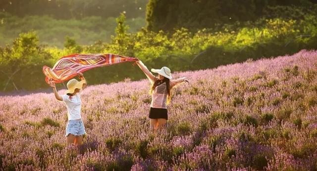 2天嗨够6种玩法，泡温泉、看萤火虫、坐小火车，