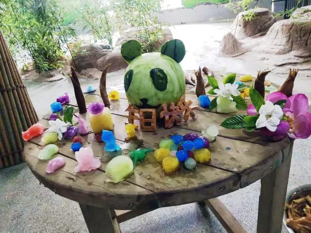 临沂动植物园为大熊猫融融和银柯举办生日会