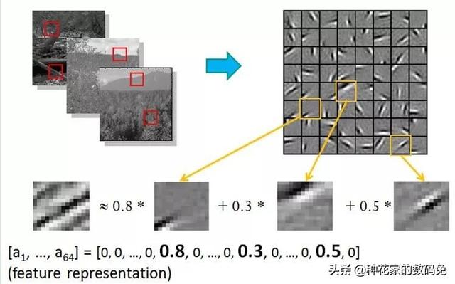 深度学习技术详解
