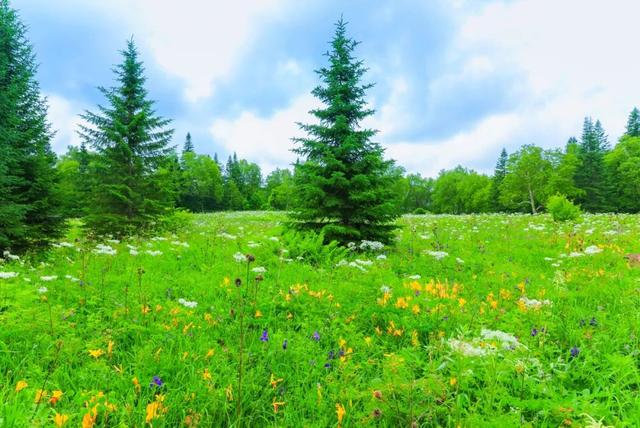 “烧烤”模式即将开启，再不去这个避暑圣地，会后悔一整个夏天