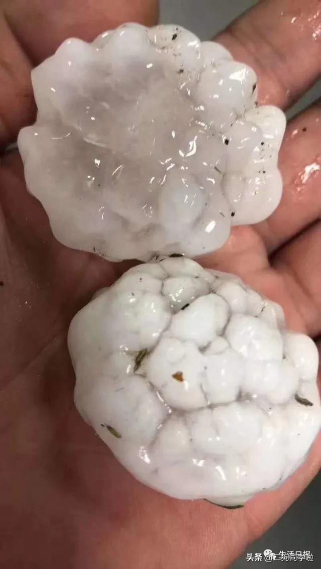 昨晚，山东14市遭遇冰雹天气！最大鸡蛋个头等于