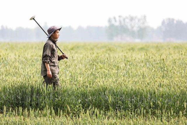 农业龙头企业是乡村发展骨干力量；有机农业的