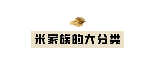 Ǹ壬ġƵġڵġ׵ġϵ...