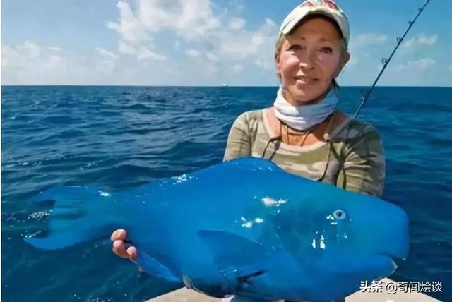 这就是神奇的大自然！这么奇妙的动物我第一次