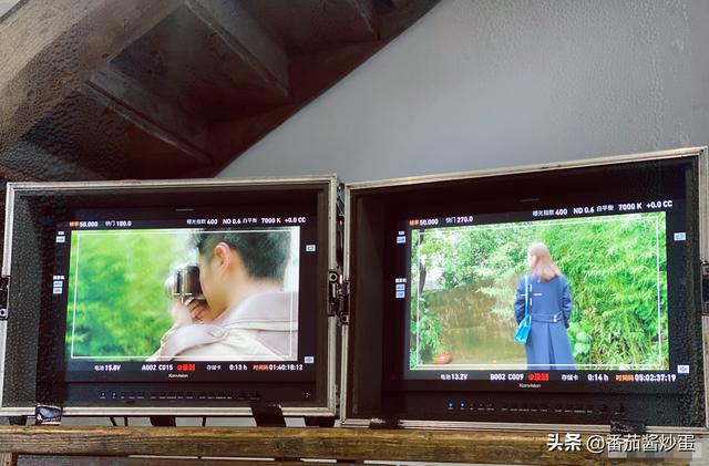 品牌方提前放料，刘诗诗有望收获奢侈品代言，同框的还有刘昊然