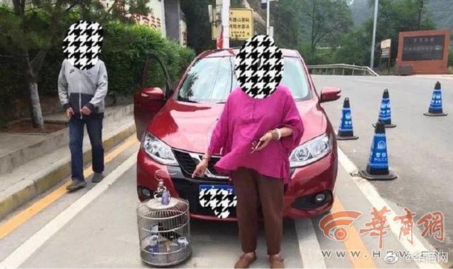 汽车后备箱有只鹩哥涉嫌非法驯养，西安市民称