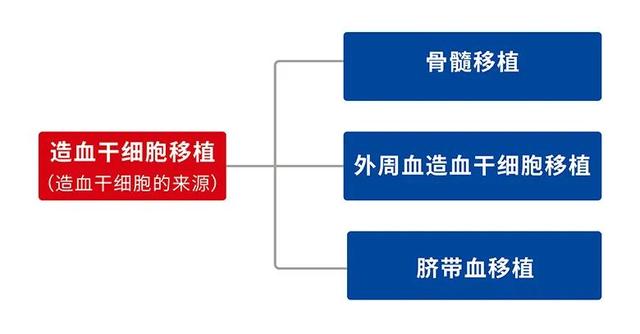 從配型（HLA）看造血干細胞移植方案的選擇