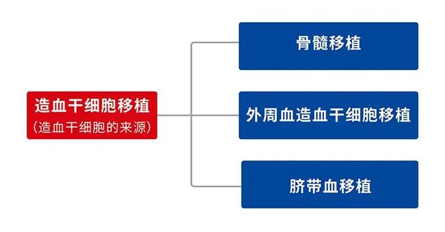 从配型（HLA）看造血干细胞移植方案的选择