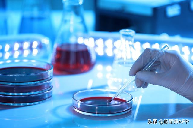 被市场低估的医药股：超4亿资金猛烈加仓，创新药需求爆发