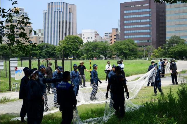 猪突猛进 日本警察出动大抓捕（图片合集）