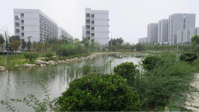 七月复学，武穴中学景色依然！喜迎高一、高二年级学子归来