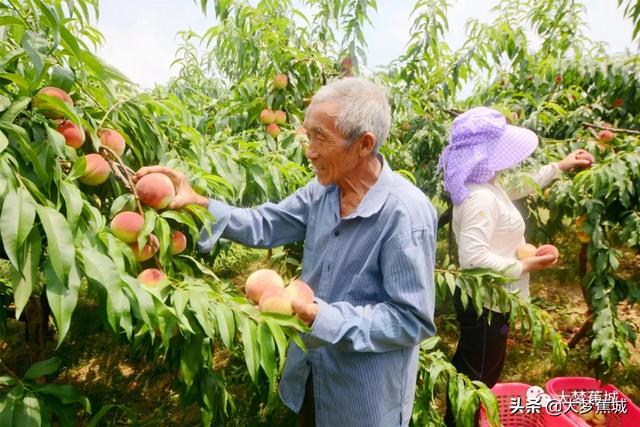 华英村人口_华英雪糕图片大全(2)