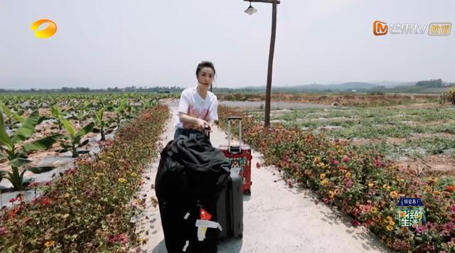 向往4：揭秘带货女王薇娅的直播间，当红小生们看得赞不绝口