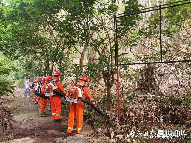 筑牢森林防火屏障 守护甜城绿水青山