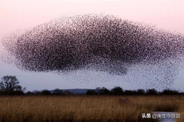 巴铁情况不太好！新冠肺炎疫情还未结束，巴基