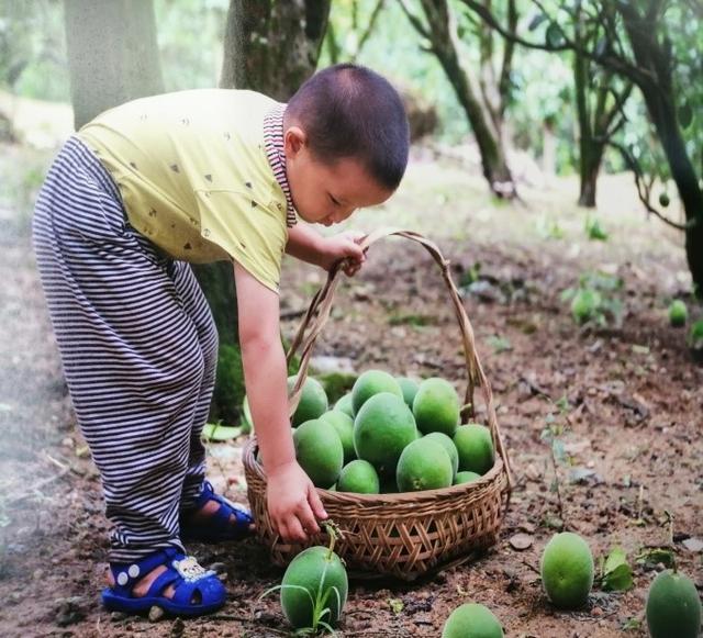 “岭南师范学院”“多彩乡村”云梭社会实践队之调研篇平定镇