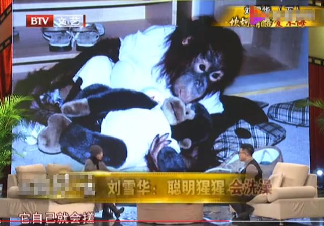 刘雪华：和猩猩打麻将，因麻将和丈夫结缘，丈夫死前还在打麻将？