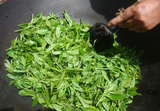 为什么街上有很多的茶叶店，茶叶的利润到底有多大？可算知道了