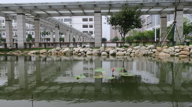 七月复学，武穴中学景色依然！喜迎高一、高二年级学子归来