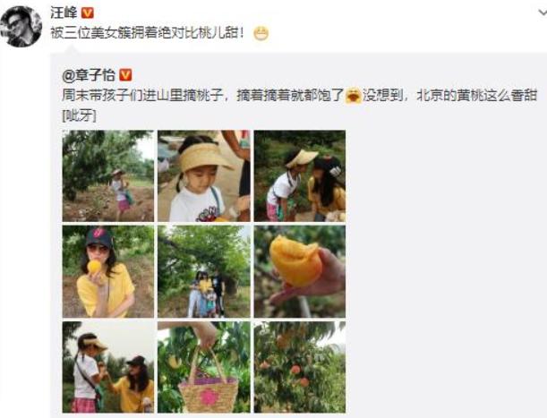 汪峰一家乡下体验生活，不会骑三轮接连撞墙，吓得章子怡失声尖叫