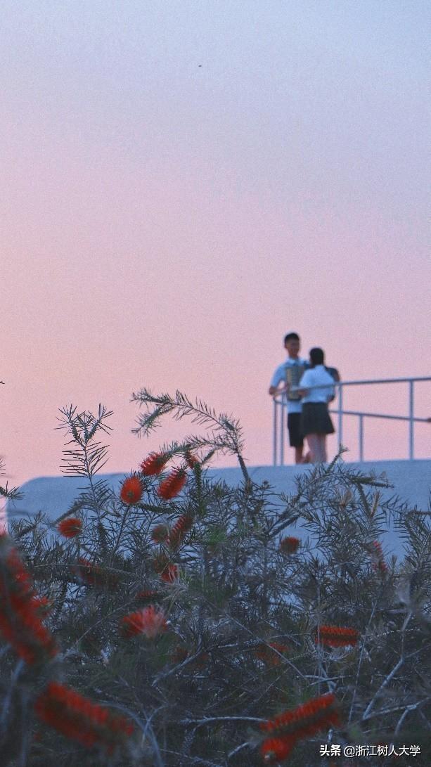 学会这些技巧，你也能拍出令人羡慕的“大片”