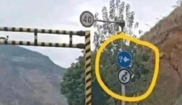 高速新標(biāo)志出現(xiàn)，問(wèn)號(hào)加燈泡是啥意思？不知道就等扣分吧