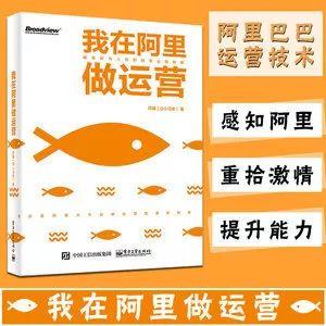 小马鱼：《我在阿里做运营》的这几年，最大的收获是这三点认知