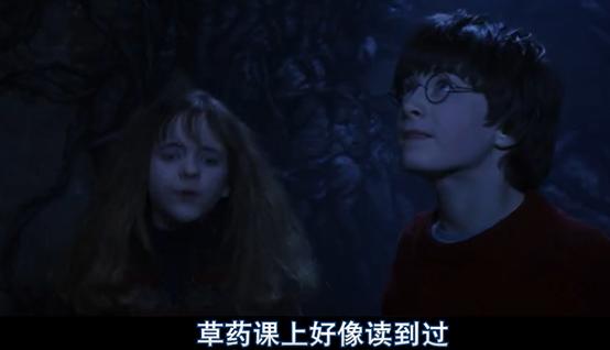 没有狮子闪不瞎和处女搞不定的：哈利波特40岁生日他们又回来了