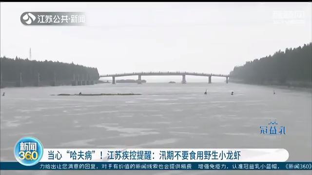 当心“哈夫病”！江苏疾控提醒：汛期不要吃野生小龙虾