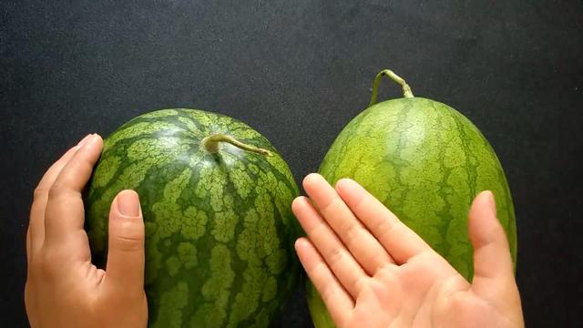 瓜农老伯教我挑选西瓜，一挑一个准，方法太棒