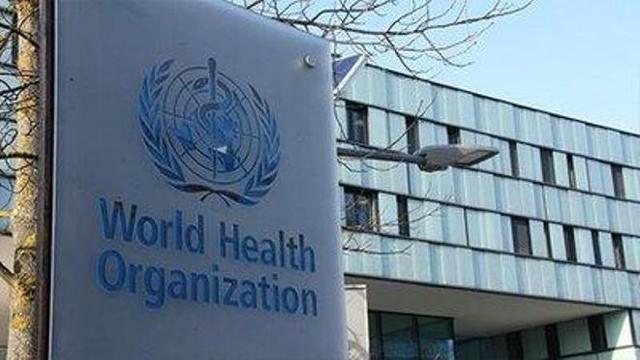 嘴上喊得凶，却不愿为台湾参与世卫大会提案，