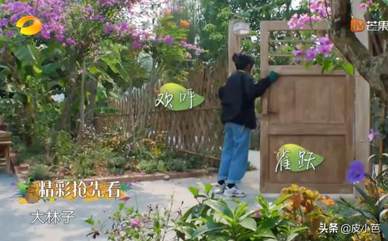 郭麒麟和张子枫在一起有多般配