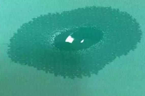 ���ϺڿƼ� | �߸���ͳ�ٸ�����