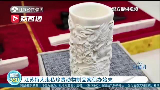 江苏特大走私珍贵动物制品案宣判！被告人走私563公斤象牙被判刑11年6个月