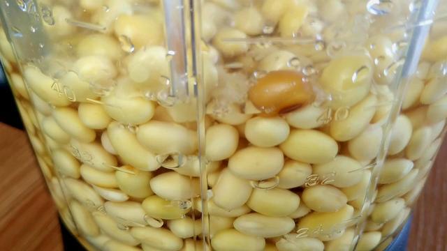 1碗黄豆，不用卤水，不用内酯，教你在家做豆腐，比买的还好吃